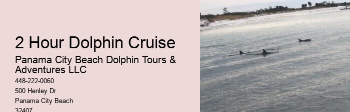 How Much Does It Cost To Swim With The Dolphins At Dolphin Cove