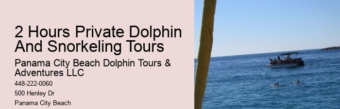 Are there any age restrictions for children on the dolphin tour