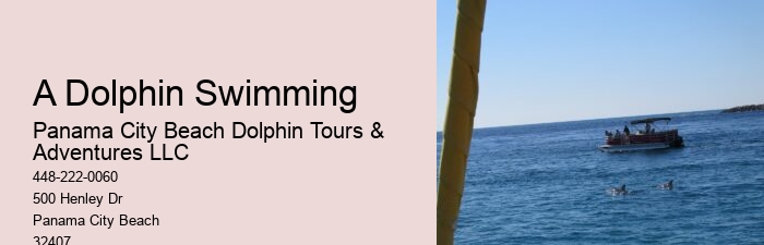 Are food and drinks provided on dolphin tours in Panama City Beach