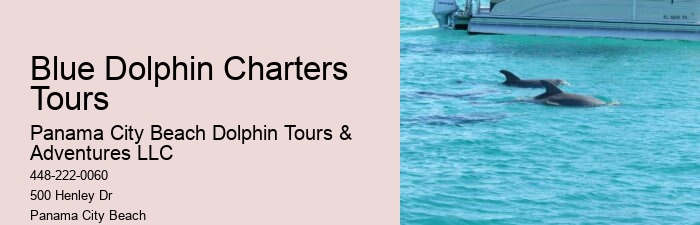 Split Memorable Dolphin And Snorkeling Adventures