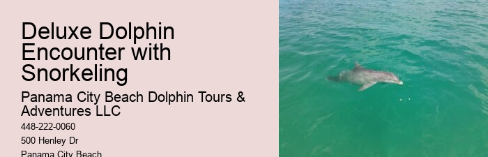 Are Dolphins Naturally Friendly Toward Humans If So