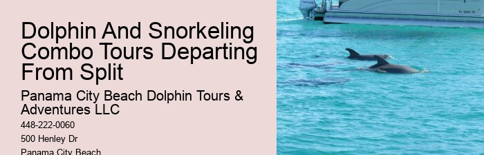 Elite Dolphin Adventure and Snorkeling