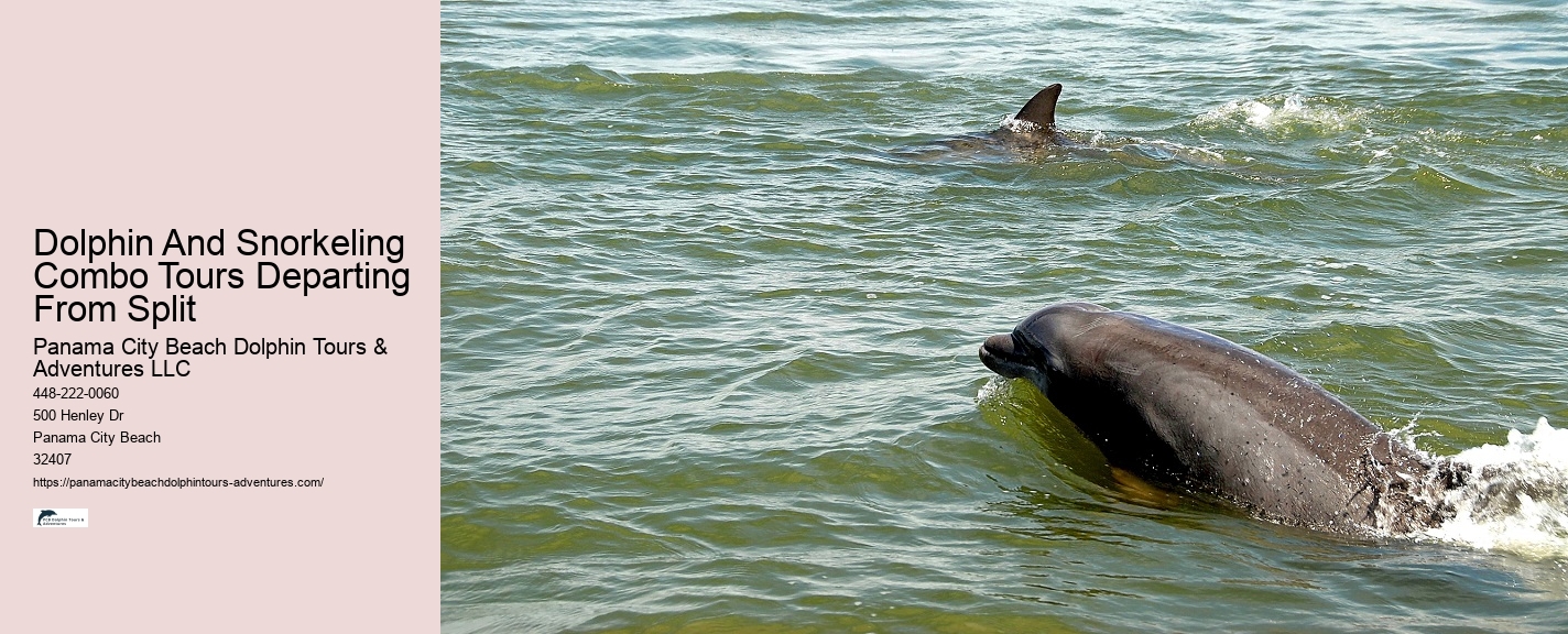 A Helping Flipper: Why Do Dolphins Save Humans