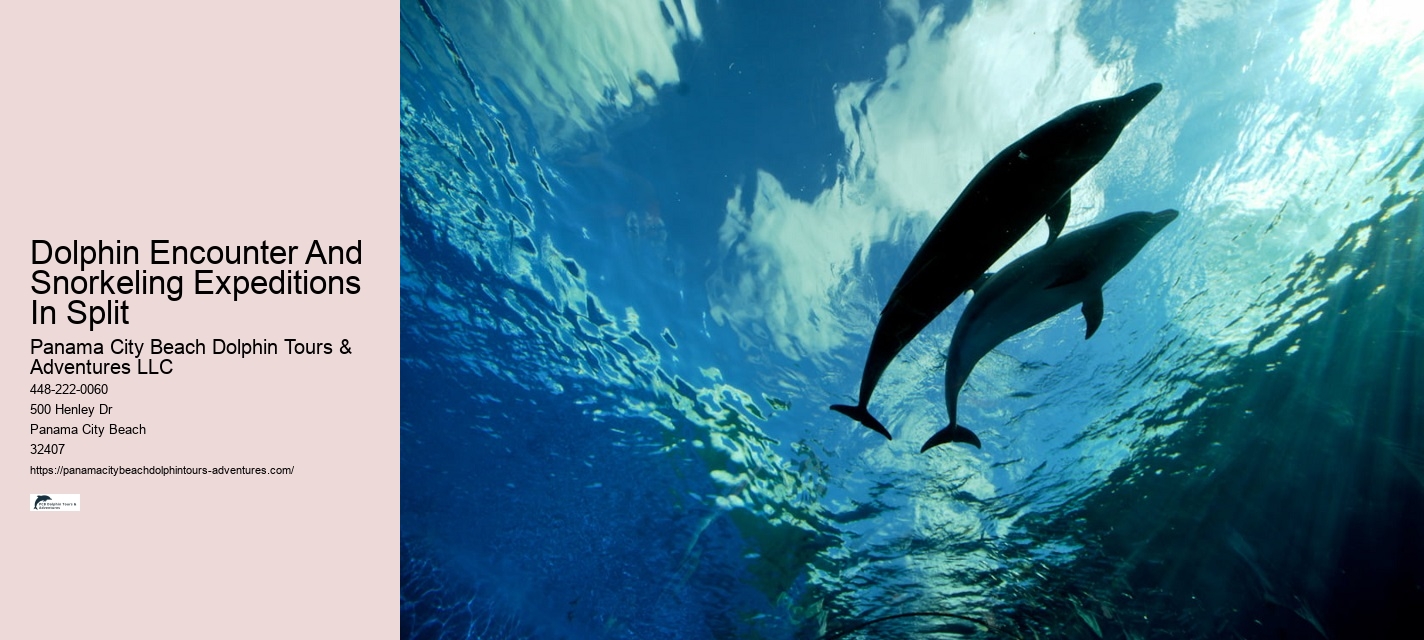 Dolphin behavior