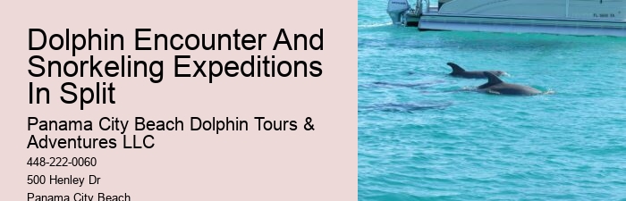 PCB Dolphin Spotting Cruises