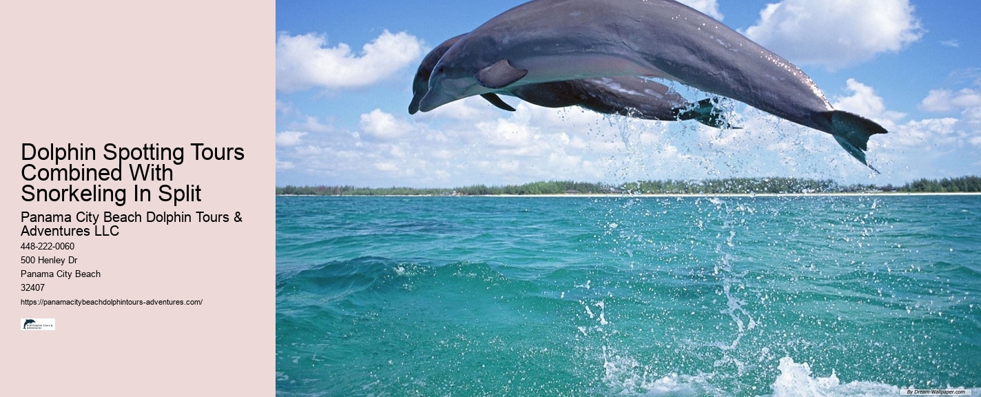Island Excursion