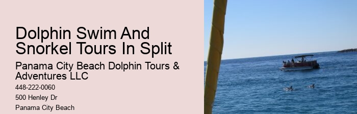 Panama City Beach dolphin watching voyages