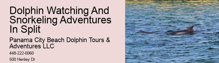 What safety measures are in place during dolphin tours in Panama City Beach