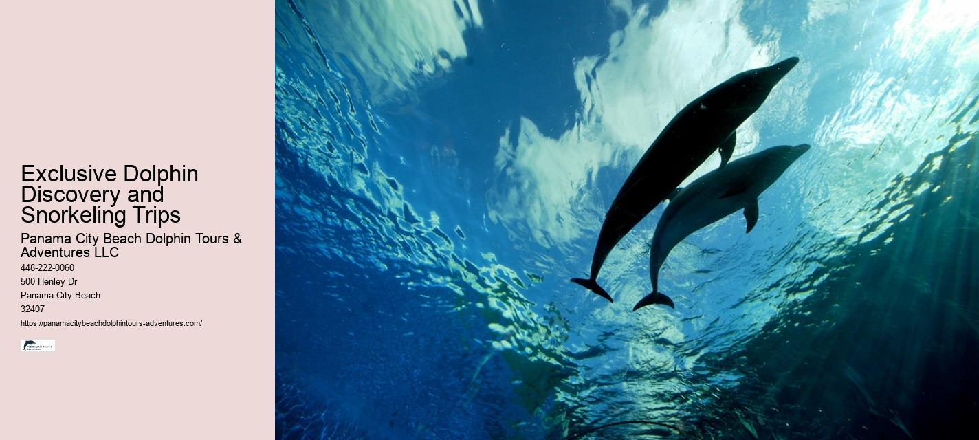 Dive