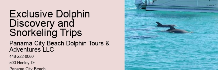 How Long Does It Take To Swim With Dolphins