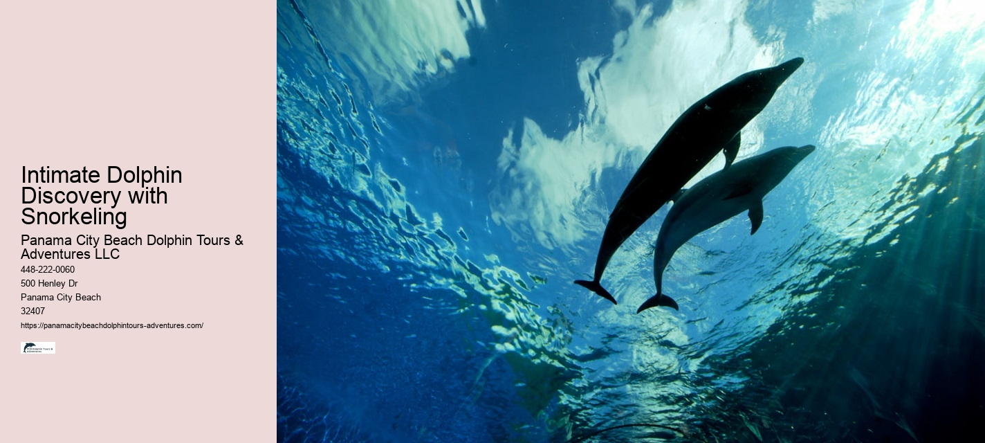 Do Dolphins Swim Close To Cruise Ships