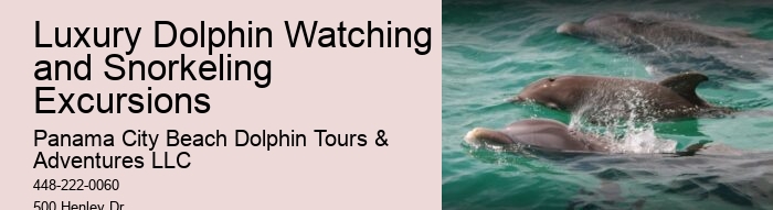 Panama City Beach dolphin excursion trips