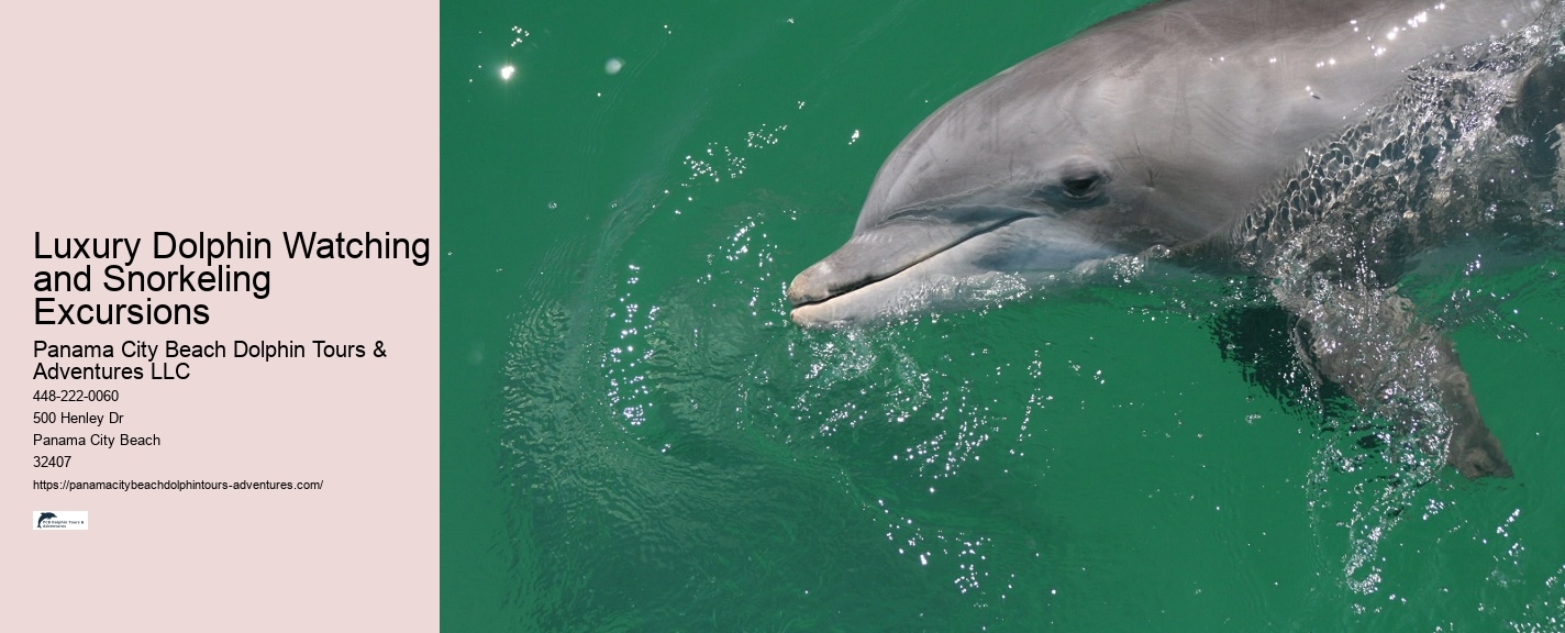 Is swimming with dolphins an additional cost on the tour