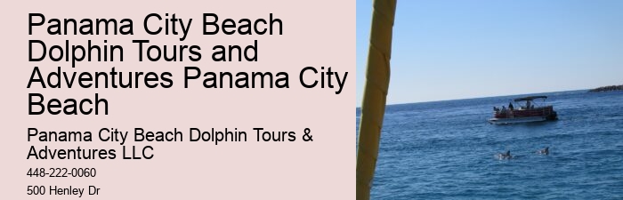 Dolphin And Snorkeling Tour