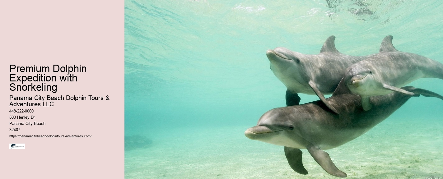 Passage Key Dolphin Tours