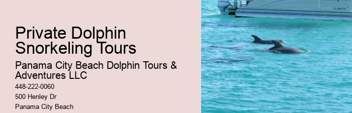 Private 2 Hour Dolphin And Snorkeling Tour