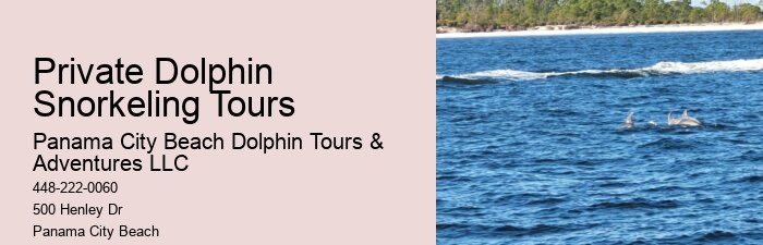 Dolphin Tour And Snorkeling Near Me