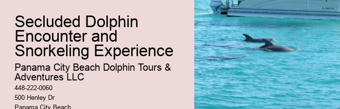 Panama City Beach Dolphin Adventure Trips