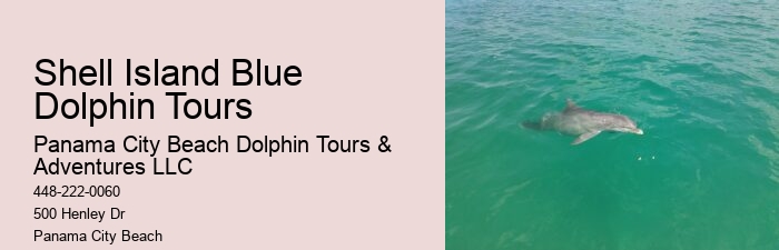 Private Dolphin Tours