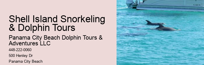 Why Do Dolphins Swim Close To Shore
