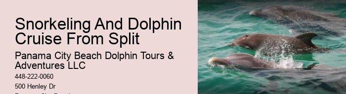 Split Adventure Tours Including Dolphin Watching And Snorkeling