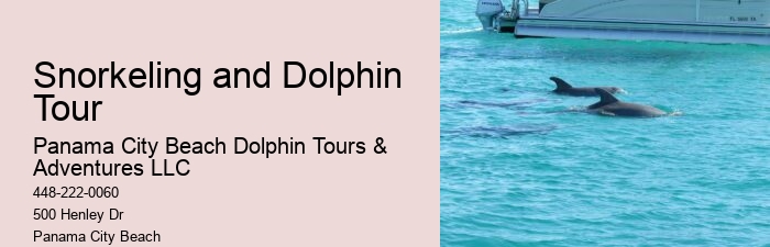 Dolphin Tales: Dolphin Mating Habits