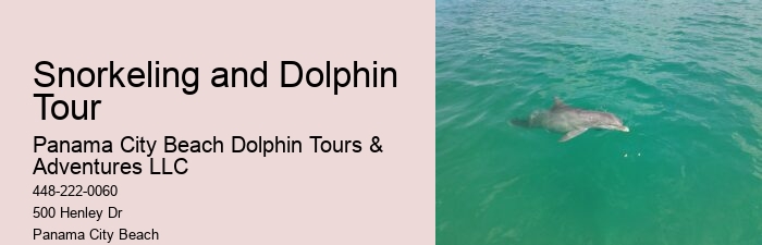 Swimming With Captive Dolphins