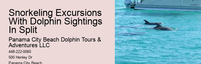PCB Dolphin Exploration Experiences