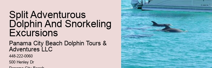 Private Dolphin Tours Destin Fl