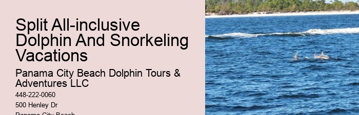 Deluxe Dolphin Expedition with Snorkeling
