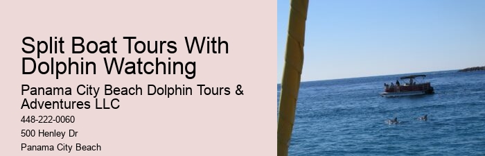 Are there any discounts available for group bookings on dolphin tours in Panama City Beach