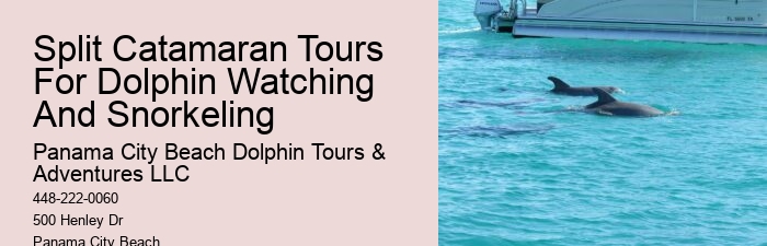 Split Immersive Dolphin Encounter And Snorkeling Tours