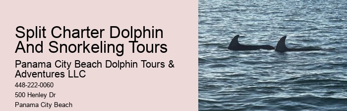 Can I book a private dolphin tour in Panama City Beach