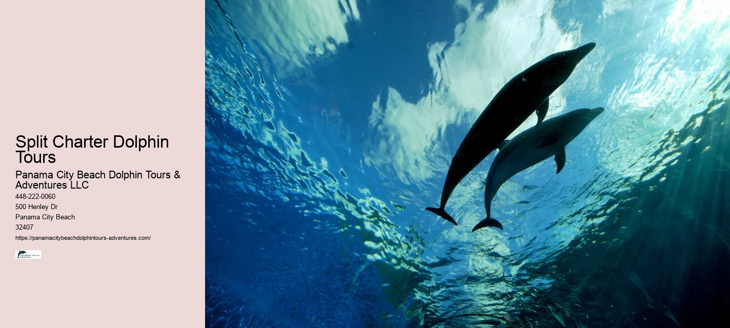 Snorkeling spots