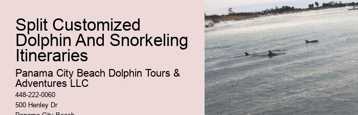 Rosemary Beach Dolphin Tours