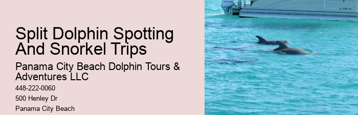 Panama City Beach Dolphin Adventure Cruises