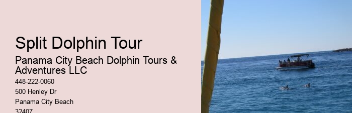 Private Dolphin Tours Hilton Head