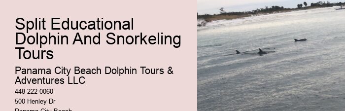 Panama City Beach eco-tours with dolphins