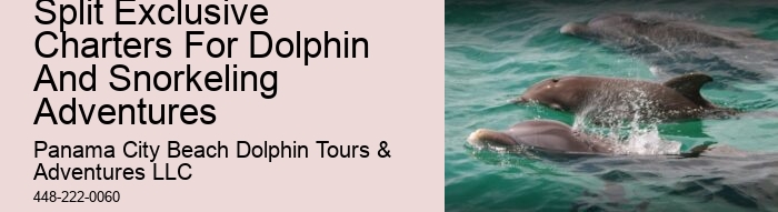 Frequently Asked Questions About Shell Island In Panama City Beach