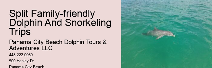 Dolphin sightseeing in Panama City Beach