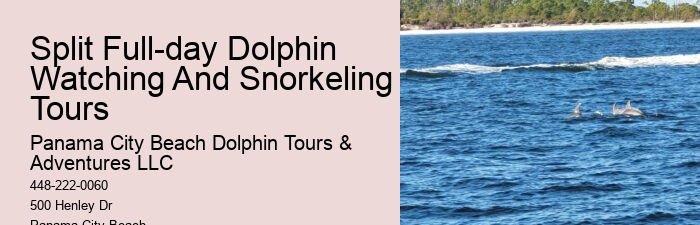 Panama City Beach Dolphin Tours Prices