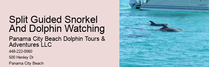 Panama City Beach dolphin sightseeing cruises