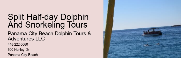 Papa Joe's Dolphin Cruise