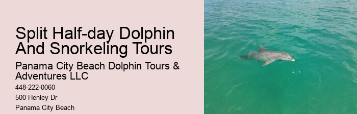Split Luxury Yacht Charters For Dolphin And Snorkeling Tours