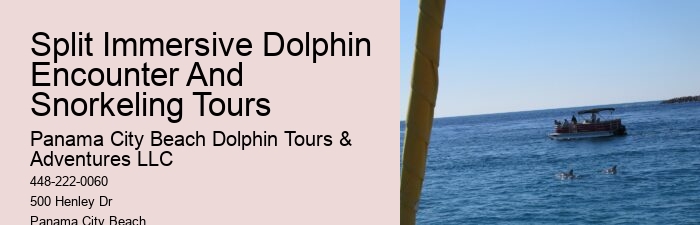 Panama City Beach dolphin exploration voyages