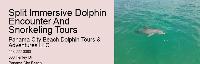 Split Dolphin Tour