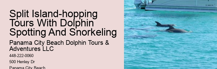 Dolphin Tours Panama City Beach Fl