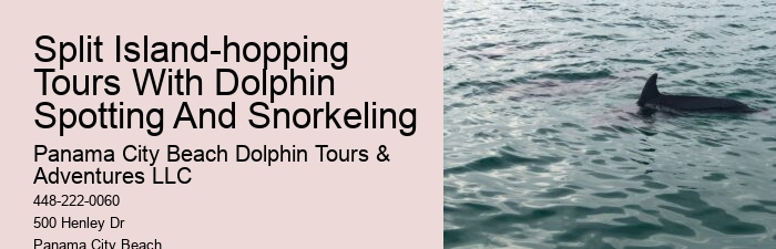 Tailored Dolphin Safari and Snorkeling Adventures