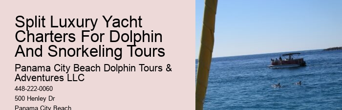 What Time Of Day Is Best For Dolphin Cruise
