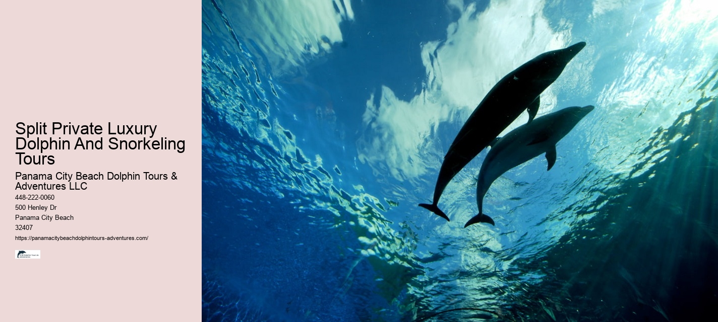 Are Panama City Beach dolphin tours suitable for non-swimmers